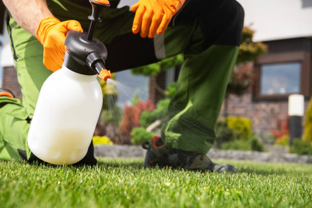 Best Affordable Pest Control Services  in Monroe, WA