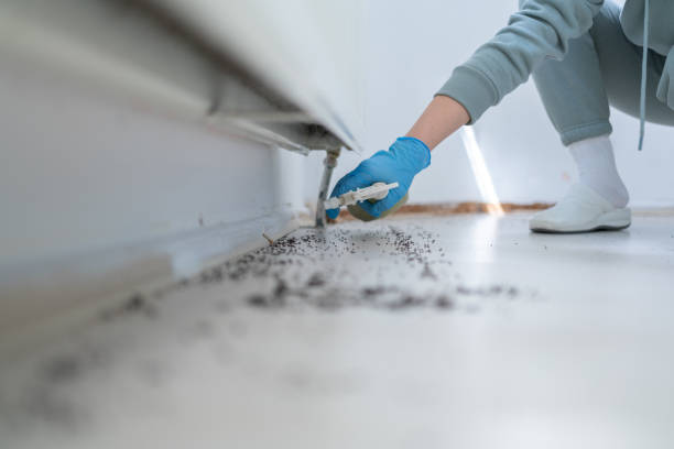 Pest Prevention Services in Monroe, WA